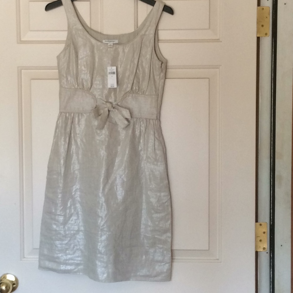 Banana Republic NWT Size 2 Shimmery Dress